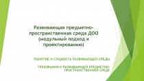 Развивающая предметно-пространственная среда ДОО (модульный подход к