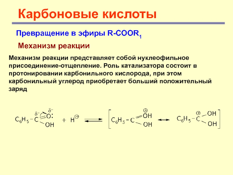 Карбоновые кислотыПревращение в эфиры R-COOR1 Механизм реакции Механизм реакции представляет собой нуклеофильное присоединение-отщепление. Роль катализатора состоит в