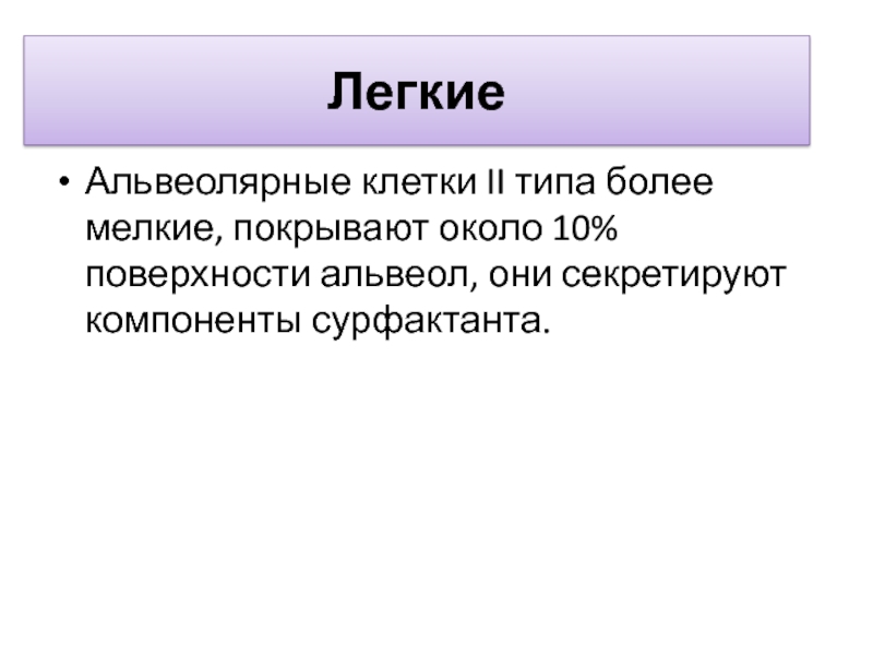 Более тип. Альвеолярные клетки 2 типа.