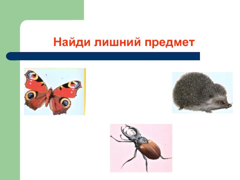 Объект лишний. Найди лишнее презентация. Презентация Найди лишнее для начальной школы. Найди лишнее Гарвард. Найди лишнего Мем.