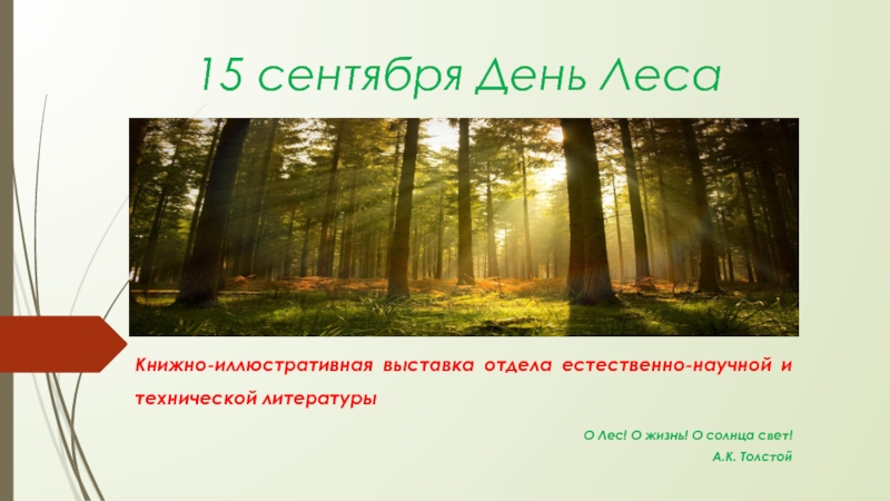 Презентация 15 сентября День Леса