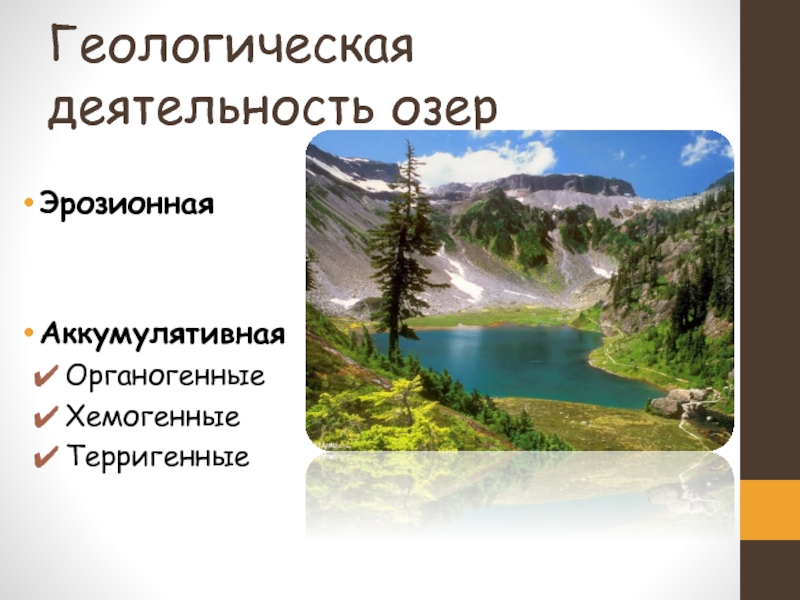 Роль озер. Геологическая деятельность озер. Геологическая работа озер. Геологическая работа озер и болот. Геологическая деятельность болота.