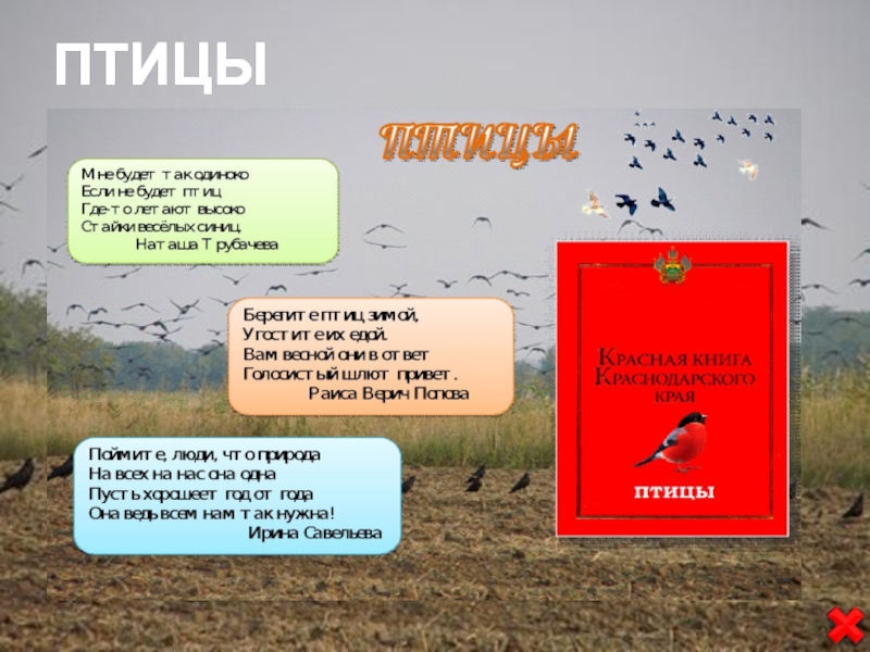 Красная книга краснодарского края фото
