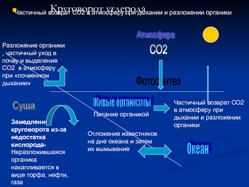 Схема со2 образования