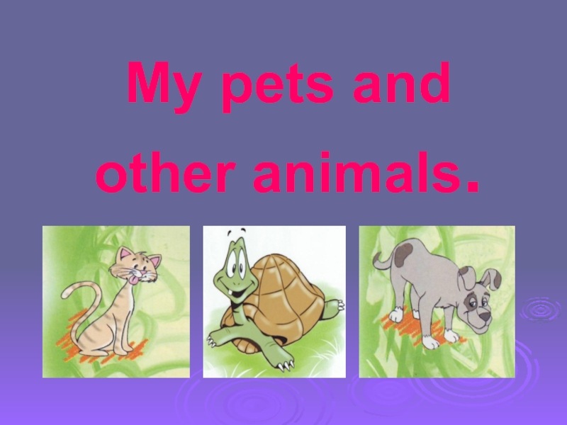 My pets and other animals