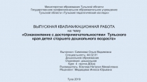 Министерство образования Тульской области Государственное профессиональное