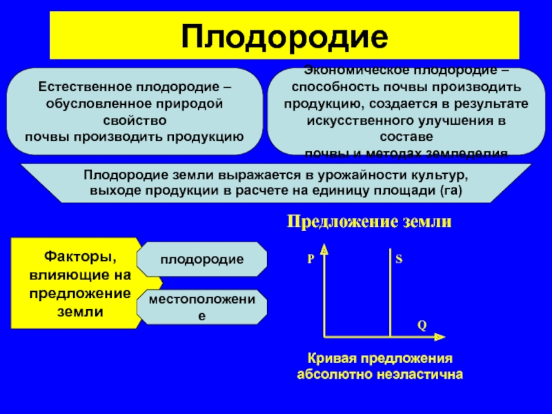 Абсолютные предложения