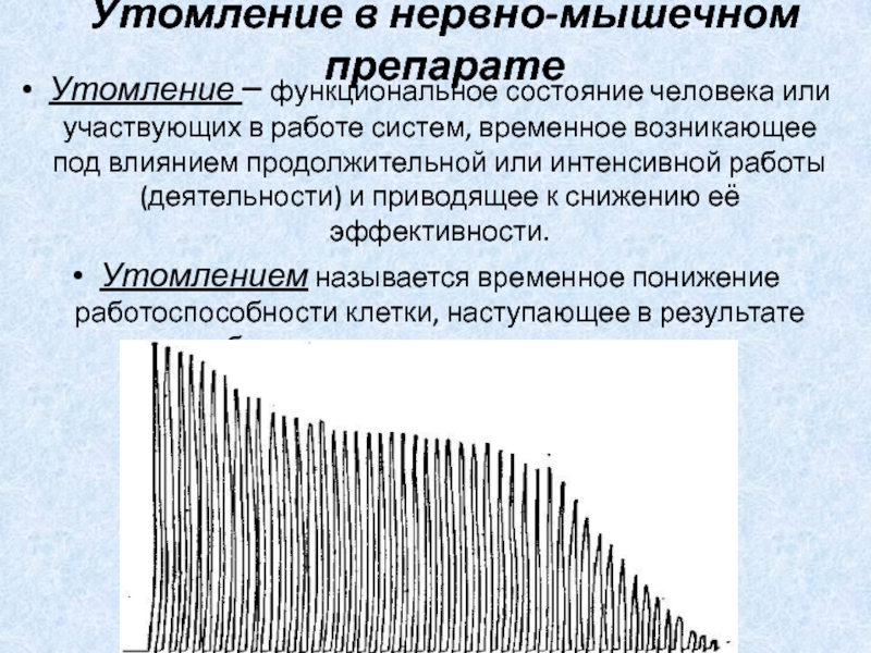 Нервно мышечное утомление. Утомление нервно-мышечного препарата. Локализация утомления в нервно-мышечном препарате. Локализация утомления в нервно-мышечном синапсе. Развитие утомления в нервно-мышечном препарате.