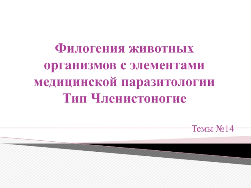 Филогения животных организмов с элементами медицинской паразитологии Тип