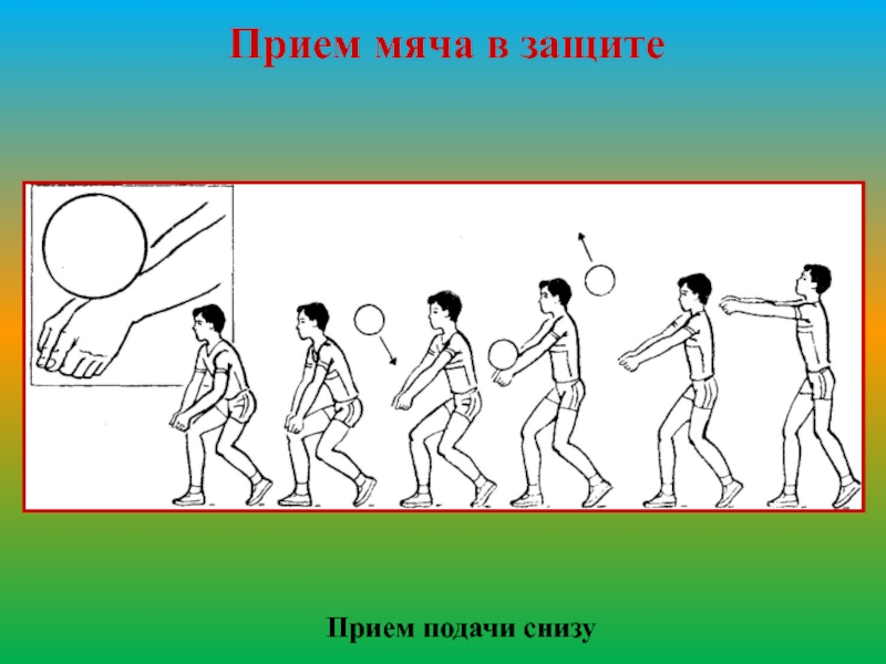 Прием мяча в волейболе. Прием мяча в защите. Волейбол подача снизу люди. Прием мяча снизу с подачи типа «планер». Подача снизу норматив.