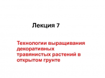 Лекция 7