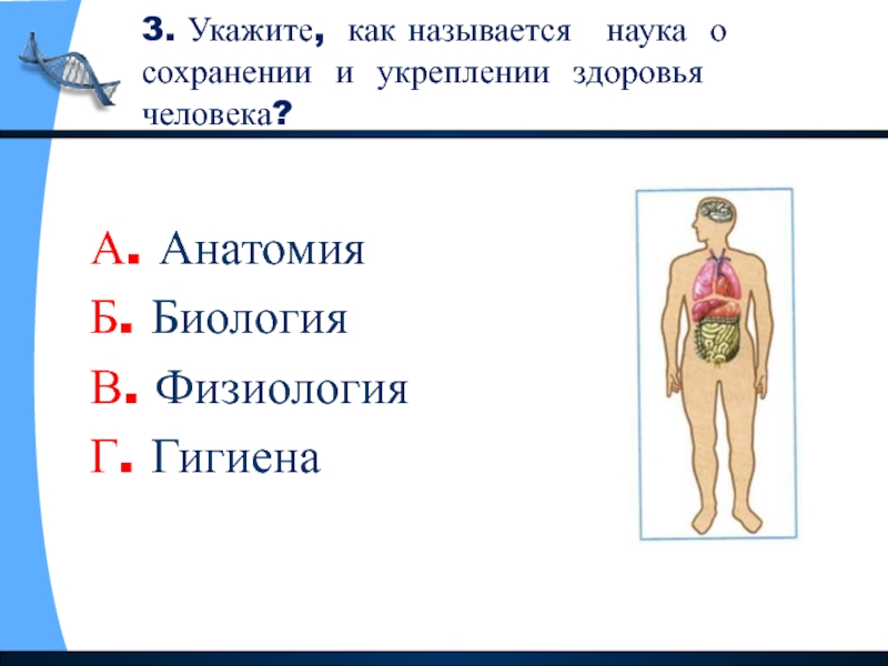 Презентация 3 класс окружающий мир организм человека