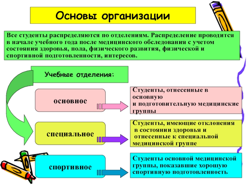 Какое учебное отделение. Распределение студентов по учебным отделениям физическая культура. На какие учебные отделения распределяются студенты?. Студенты специальной медицинской группы. Распределение студентов по медицинским группам.