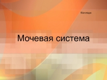 Мочевая система