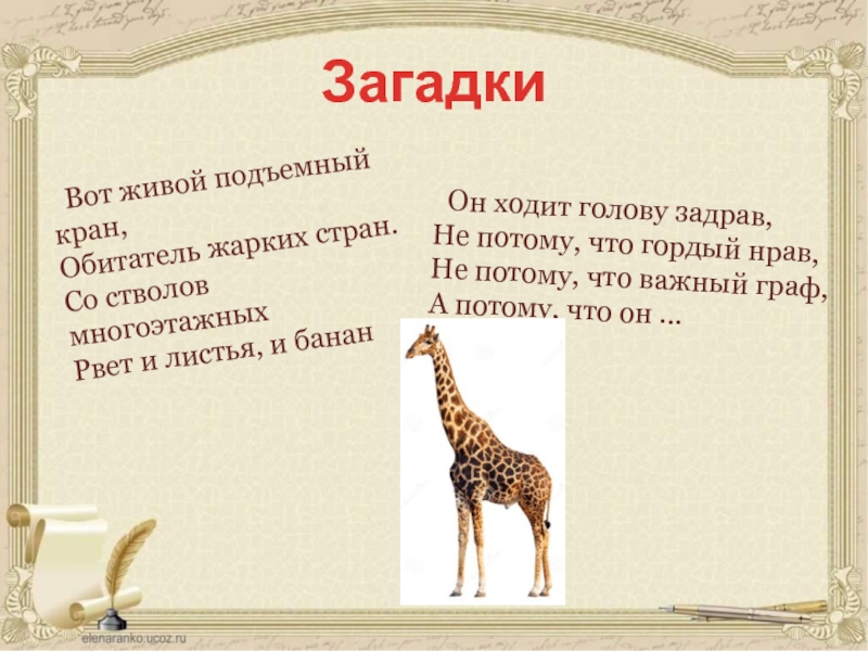 Загадки Он ходит голову задрав, Не потому, что гордый нрав, Не потому, что важный граф, А потому,