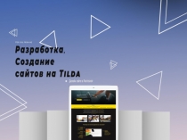 Портфолио
