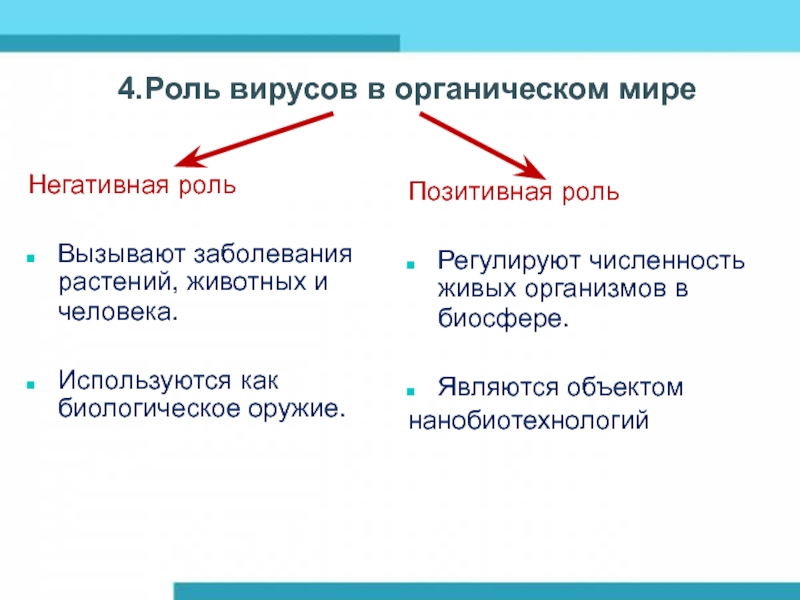 Положительный вирус. Роль вирусов. Роль вирусов в природе. Роль вирусов в природе и жизни человека. Функции вирусов.