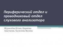 Периферический отдел и проводниковый отдел слухового анализатора