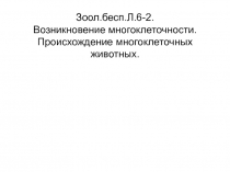 Зоол.бесп.Л.6 -2. Возникновение многоклеточности. Происхождение многоклеточных