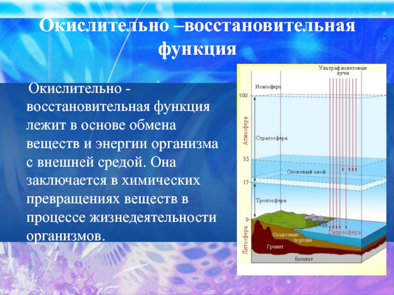 Овр в природе производственных процессах и жизнедеятельности организмов презентация