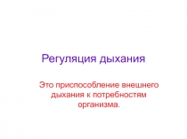 Регуляция дыхания 