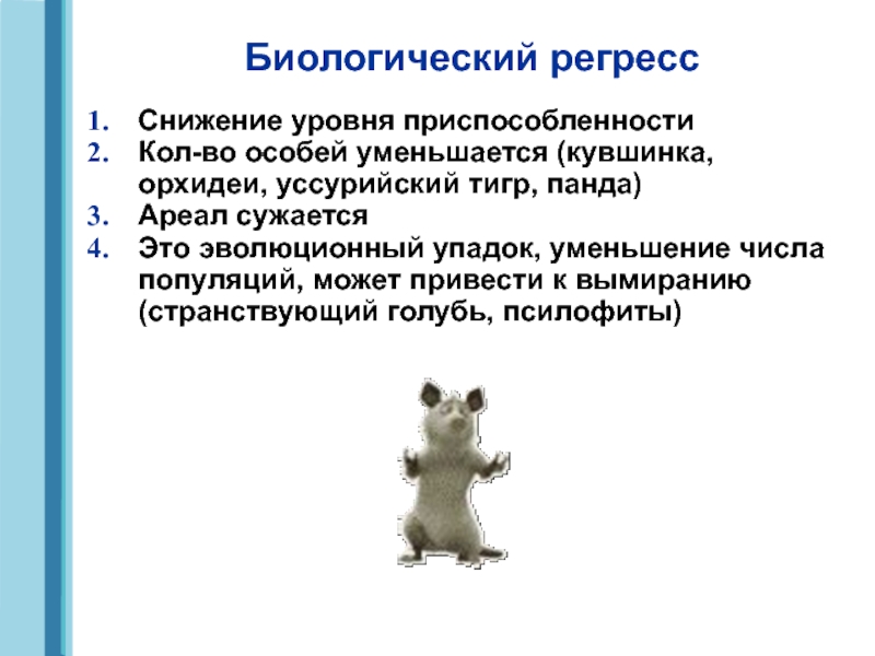 Биологический регресс это кратко. Биологический регресс презентация. Примеры видов биологического регресса. Причины биологического регресса. Уссурийский тигр биологический регресс.