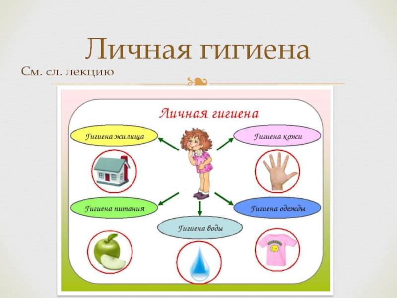 Проект по биологии здоровье человека и безопасность жизни