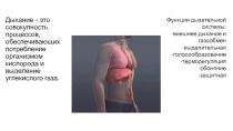 Дыхание – это совокупность процессов, обеспечивающих потребление организмом