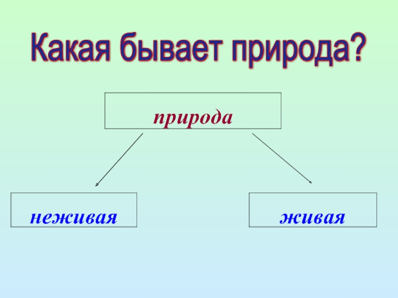 Какая бывает природа. Природа бывает 2 класс. Какая бывает природа 2 класс окружающий мир. Какие бывают осадки.