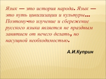 Урок русского языка в 5 классе по теме 