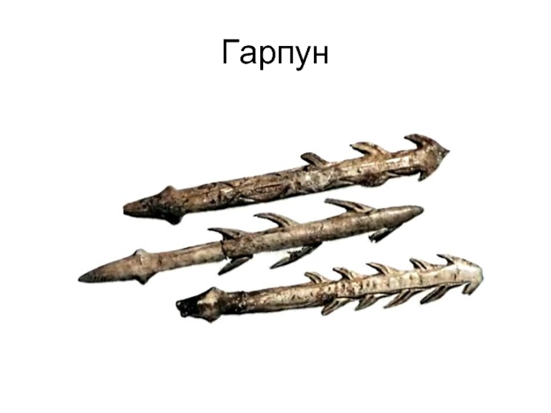 Гарпун это