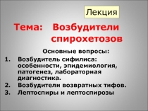 Лекция