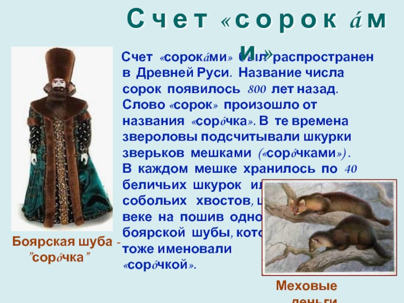 История слова сорок