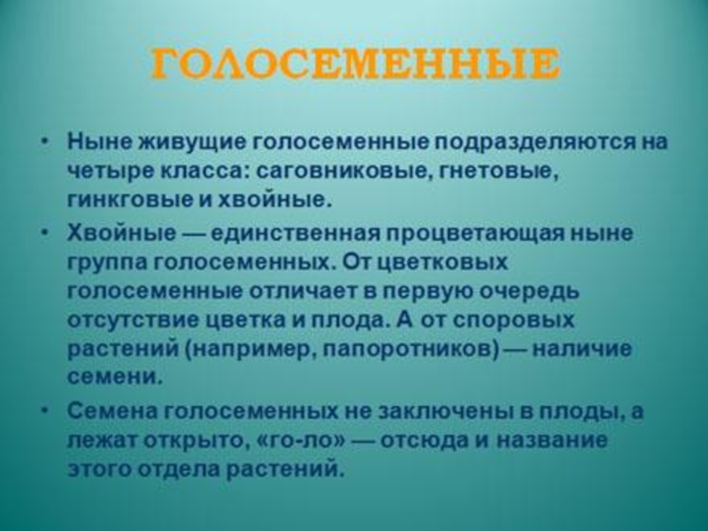 Составить план рассказа о древних голосеменных растениях