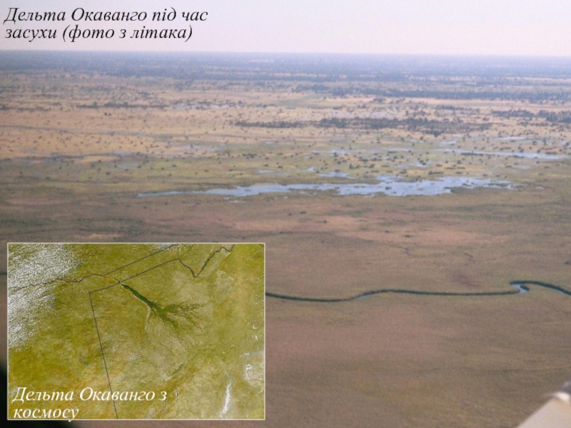 Дельта Окаванго під час засухи (фото з літака)Дельта Окаванго з космосу
