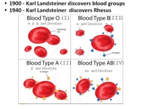 1900 - Karl Landsteiner discovers blood groups
1940 - Karl Landsteiner