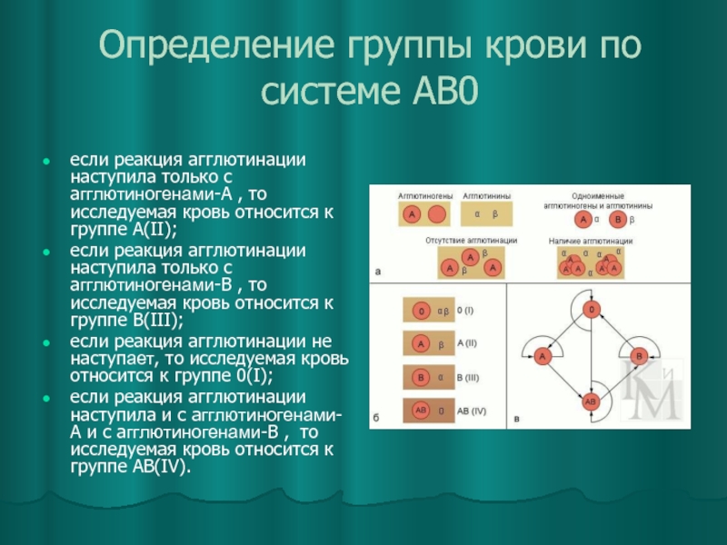 Определить группу крови по системе аво. Определение группы крови по системе ab0. Методика определения групповой принадлежности крови. Методы определения групп крови системы АВО.