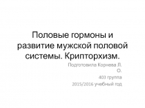 Половые гормоны и развитие мужской половой системы. Крипторхизм