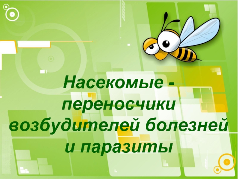 Презентация Насекомые - переносчики возбудителей болезней и паразиты