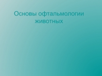 Основы офтальмологии животных