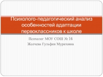 Психолого-педагогический анализ особенностей адаптации первоклассников к школе