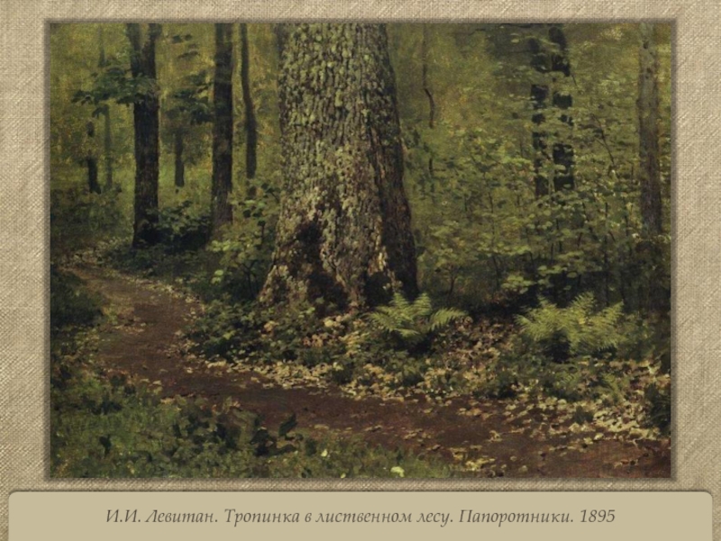 И.И. Левитан. Тропинка в лиственном лесу. Папоротники. 1895