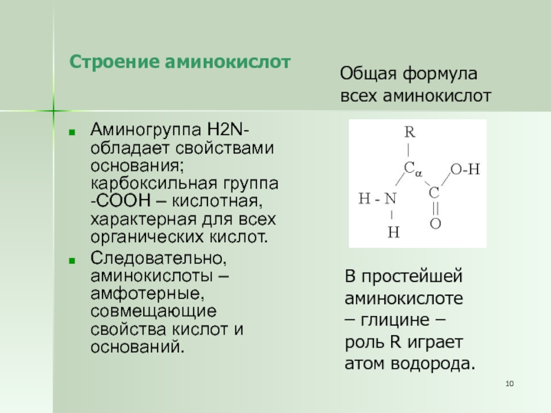 Состав радикалов аминокислот. Структура природных аминокислот. Общая формула строения аминокислот. Общая формула α-аминокислоты. Общая структура α-аминокислот.