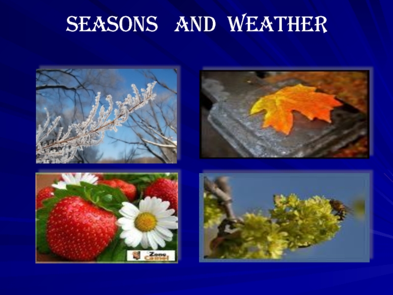 Времена года (Seasons and weather)