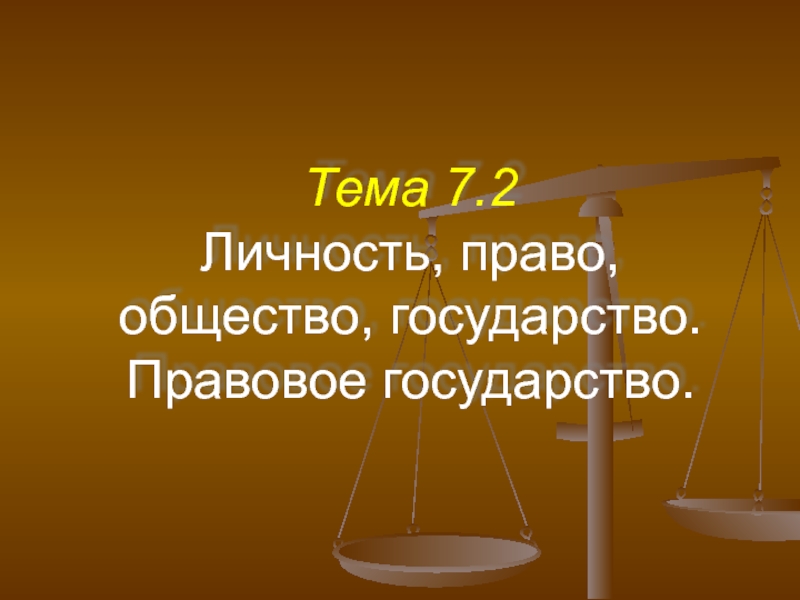 Личность, право, общество, государство. Правовое государство 