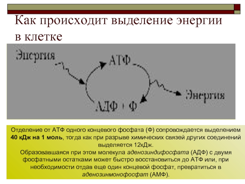 При разрыве связи выделяется энергия