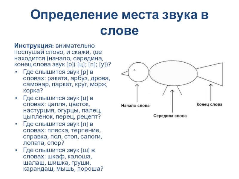 Начало середина конец слова