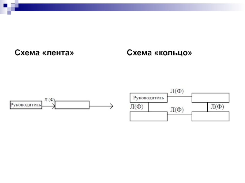 Схема ленты магазина