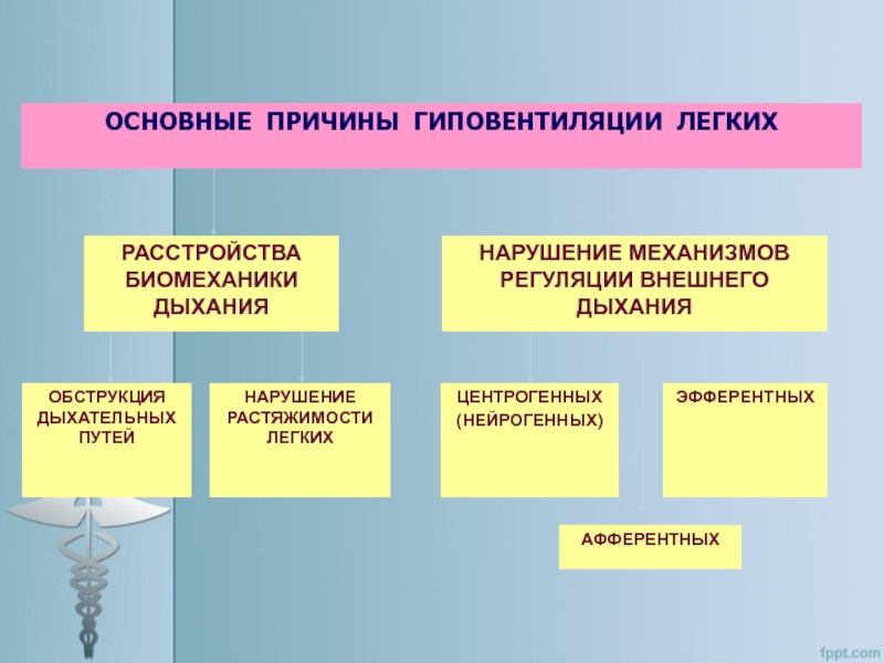 Патофизиология внешнего дыхания презентация