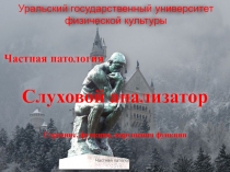 Частная патология
Слуховой анализатор
Строение, функция, нарушения